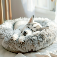 Aluria Haven™ Pet Bed