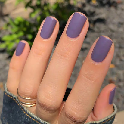 Lavender Classic